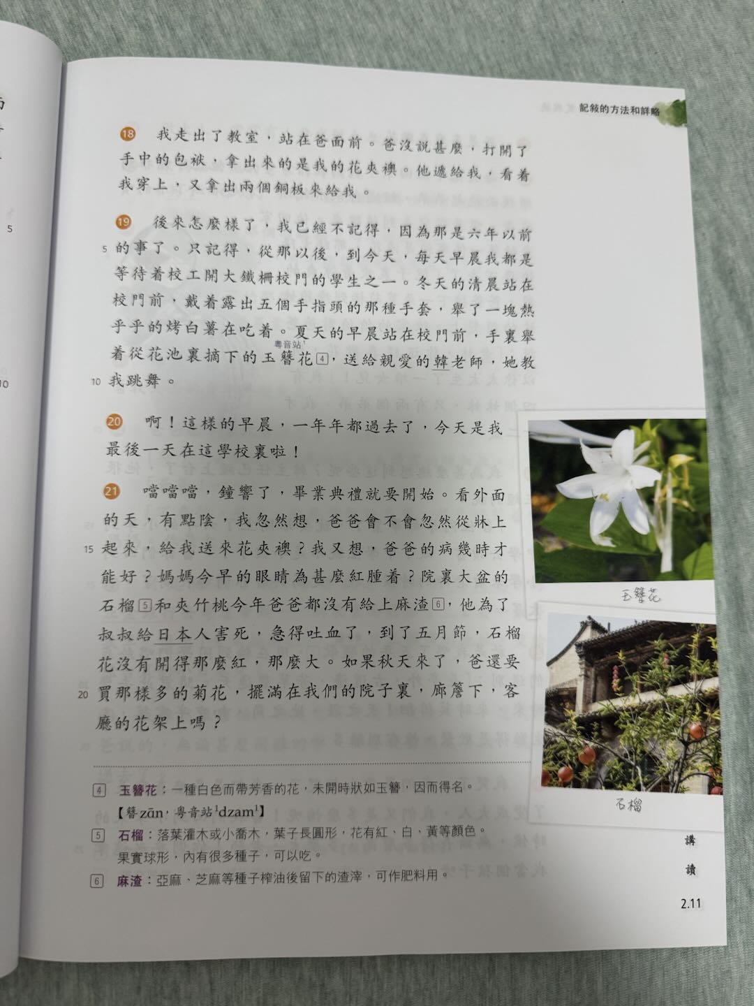 page 31 課文高潮