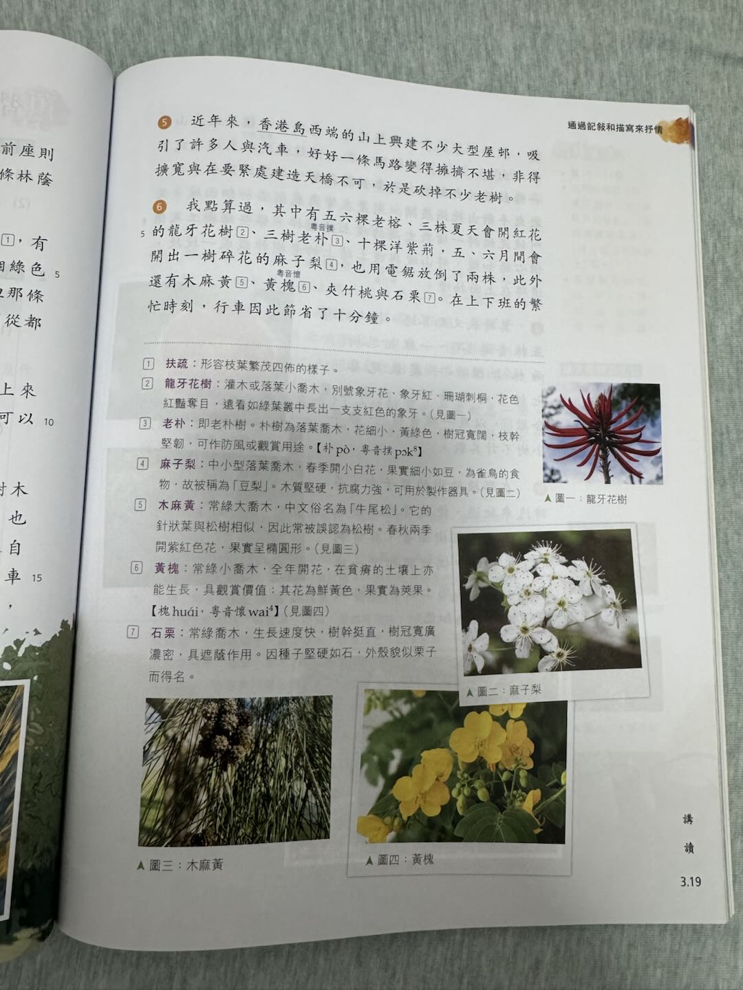 page 3.19 課文續篇